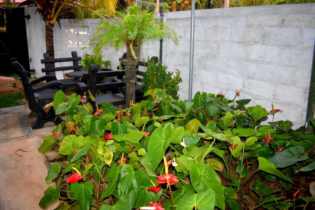 Kaushika Resort Anuradhapura Zewnętrze zdjęcie